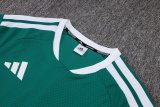 Adidas Clover Sets  Green 1:1 Quality Soccer Jersey  25-26