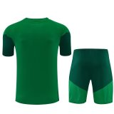Algeria Training Green With Pants Sets (16-2XL) 1:1 Quality Soccer Jersey  26-27（2026）