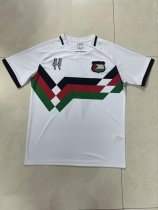 Palestine Special Edition  Fans 1:1 Quality Soccer Jersey  24-25