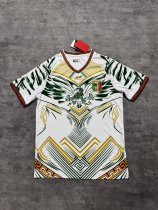 Mali Away Fans   1:1 Quality Soccer Jersey 26-27 (2026)