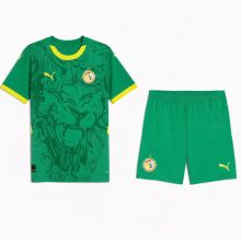 Cameroon Third  Away  Sets Fans 1:1 Quality Soccer Jersey  25-26
