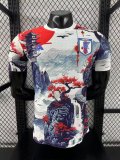 Japan Special Edition  player  1:1 Quality Soccer Jersey  25-26
