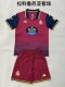 Deportivo La Coruna Away Fans  (Kids and Man)  1:1 Quality Soccer Jersey  25-26