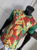 Senegal Special Edition player   1:1 Quality Soccer Jersey   25-26