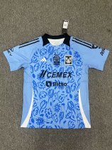 Tiger Special Edition fans 1:1 Quality Soccer Jersey  24-25
