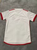 Flamenco away Fans  1:1 Quality Soccer Jersey  24-25
