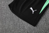 Portugal Training  Fans Kits  1:1 Quality Soccer Jersey 25-26 (Kids And Man )