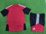 Germany Training Special Edition With Pants Set Player Red 1:1 Quality Soccer Jersey   26-27 (2026)