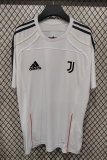 Juventus T-shirt White Fans 1:1 Quality Soccer Jersey   25-26