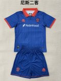 Nice Third Away Fans   (kids and man ) 1:1 Quality Soccer Jersey  25-26