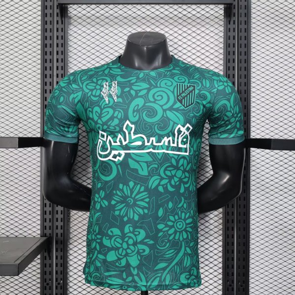 Palestine Green  Player 25-26  1:1 Quality Soccer Jersey