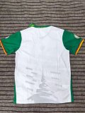 Cameroon away fans 1:1 Quality Soccer Jersey 25-26