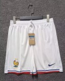 France pant pants shorts  away home third away   1:1
