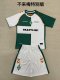 SV Werder Bremen Special Edition  kids  1:1 Quality Soccer Jersey   24-25