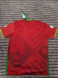 Cameroon home fans 1:1 Quality Soccer Jersey 25-26