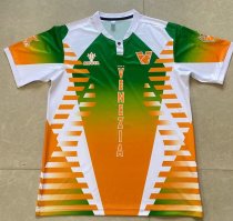 Venice  Special Edition  Fans  1:1 Quality Soccer Jersey   24-25