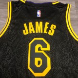 Los Angeles Lakers Black Mamba Great Snake Edition #6 JAMES 1:1 Quality NBA Season Jerseys