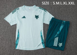 Cruzeiro  training fans  1:1 Quality Soccer Jersey  24-25