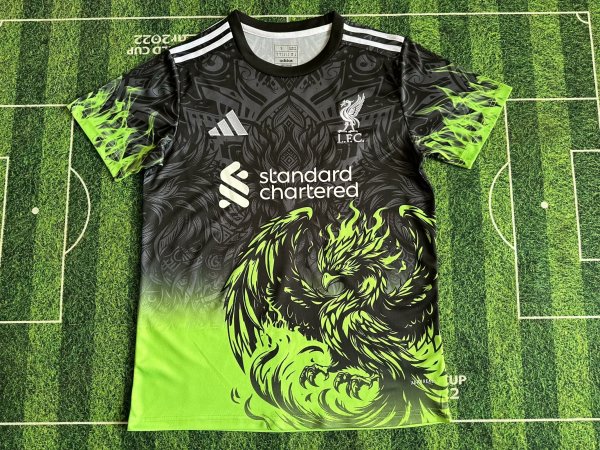 Liverpool Special Edition Fans 1:1 Quality Soccer Jersey   24-25