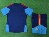 Spain Training Special Edition With Pants Sets Player 1:1 Quality Soccer Jersey 26-27（2026）