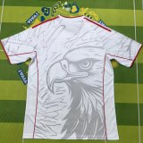 Benfica Training  Special Edition Fans 1:1 Quality Soccer Jersey 25-26