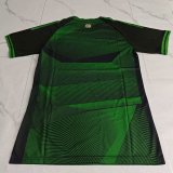 Celtic  home  player 1:1 Quality Soccer Jersey 25-26
