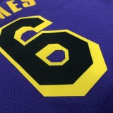 Los Angeles Lakers Jordan  Prople #6 James  round neck   1:1 Quality NBA Season Jerseys  2023