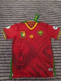 Cameroon home fans 1:1 Quality Soccer Jersey 25-26