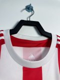Retro Southampton home Fans 1:1 Quality Soccer Jersey  2015-2016