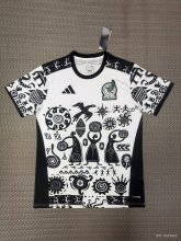 Mexico Special Edition Fans  1:1 Quality Soccer Jersey   26-27 (2026)