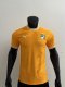 Cote dIvoire home player 1:1 Quality Soccer Jersey   25-26