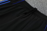 Real Madrid  Training  Fans kits  1:1 Quality Soccer Jersey 25-26 (Kids And Man )