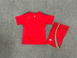 Welsh home  Kids 1:1 Quality Soccer Jersey  24-25