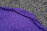 Real Madrid  Polo Fans Purple 1:1 Quality Soccer Jersey  25-26