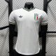 Italy Away Player 1:1 Quality Soccer Jersey   26-27（2026）
