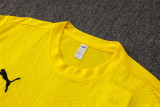 Dortmund  training  fans  1:1 Quality Soccer Jersey  24-25