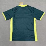 Barcelona Special Edition Fans 1:1 Quality Soccer Jersey   24-25