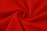 Liverpool Polo Fans  Red 1:1 Quality Soccer Jersey  25-26