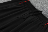Bayern Munich Training  Tracksuit  green (Kids And Man )  1:1  25-26