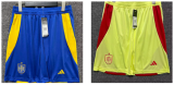 Spain pant pants shorts  away home third away   1:1