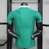 Mexico Special Edition Player 1:1 Quality Soccer Jersey   26-27 (2026)