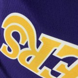 Retro Los Angeles Lakers Purple #0 WESTBROOK  1:1 Quality NBA Season Jerseys 2021