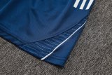 Adidas Clover Sets  Blue 1:1 Quality Soccer Jersey  25-26