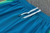 Brazil Training  Fans Kits White (Kids And Man 16-2XL) 1:1 Quality Soccer Jersey 26-27 (2026)
