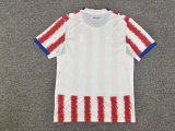 Paraguay Home  Fans 1:1 Quality Soccer Jersey 26-27 (2026)