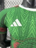 Mexico Special Edition player 1:1 Quality Soccer Jersey   25-26