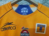 Retro Tiger Home   1:1 Quality Soccer Jersey  2005
