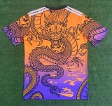 Real Madrid  Special Edition Fans 1:1 Quality Soccer Jersey    24-25