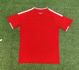 Wales  Home Fans 1:1 Quality Soccer Jersey  26-27 (2026)