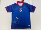 Haiti Home Fans 1:1 Quality Soccer Jersey  26-27 (2026)